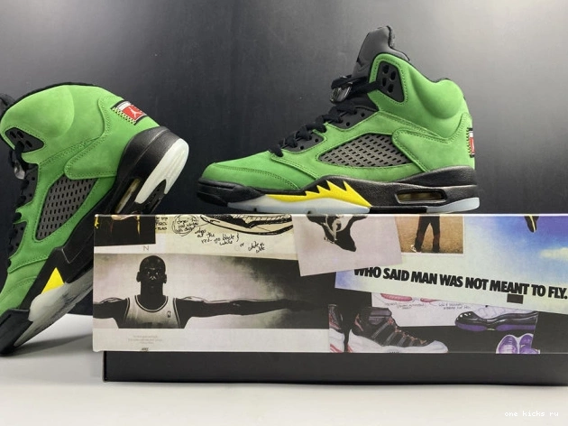 Rep Air Ducks 5 CK6631-307 Jordan SE Oregon 0814